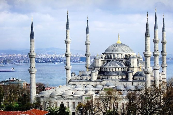 Private Half Day Shore Excursion: Hagia Sophia, Hippodrome, Blue Mosque and Grand Bazaar From Istanbul - Transport, walking, and physical demands