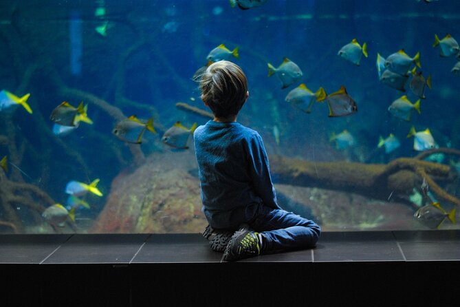 Private Hamad Port Tour in Mesaieed |Aquarium |Maritime Museum - Getting there from Doha