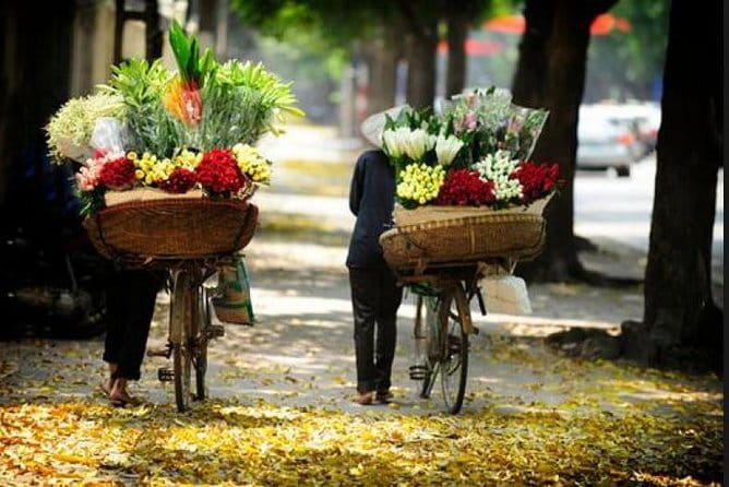 Private Hanoi City Shore Excursion from Ha Long Cruise Port - Hoan Kiem Lake and the walking streets