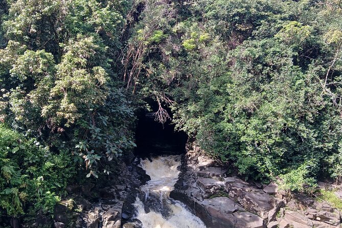 Private Hilo Shore Excursion Volcano National Park up to 10 - Volcano Village gives you a practical break