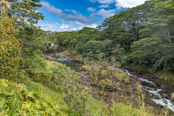 Private Hilo Shore Excursion - Volcanoes, Waterfalls, & Beaches - Thurston Lava Tube through native rainforest