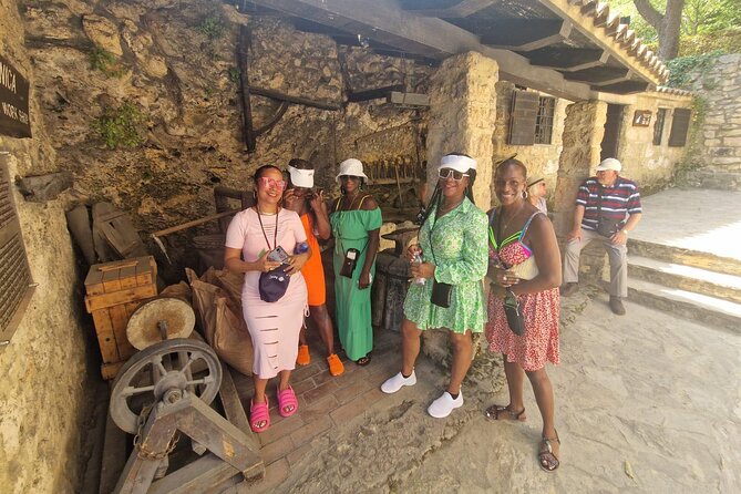 Private Krka Waterfalls with Wine and Prosciutto Shore Excursion - Should you book the Krka and wine tour?