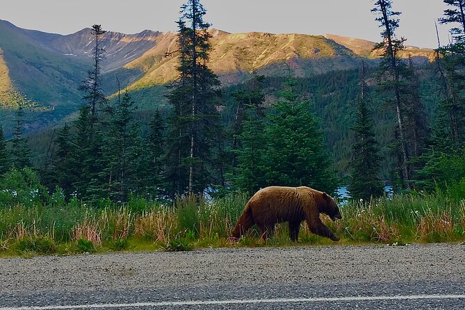 Private luxury shore excursion Skagway, AK to Emerald Lake, Yukon. - Wildlife sightings are a bonus