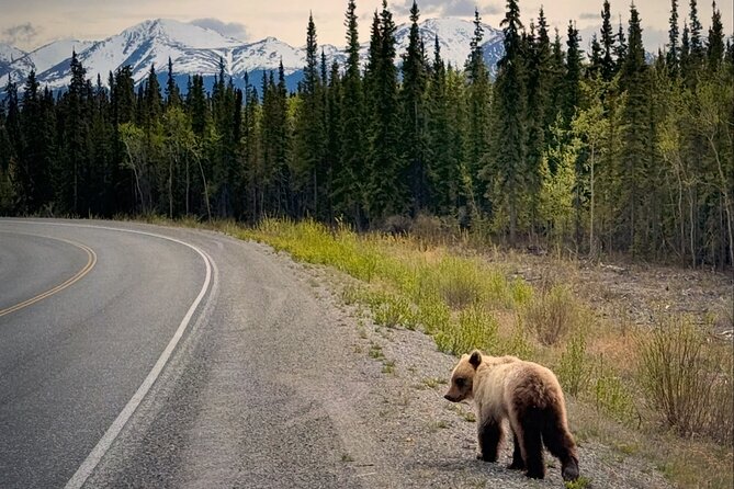 Private luxury shore excursion Skagway, AK to Emerald Lake, Yukon. - Comfort, group size, and the value of $1,200
