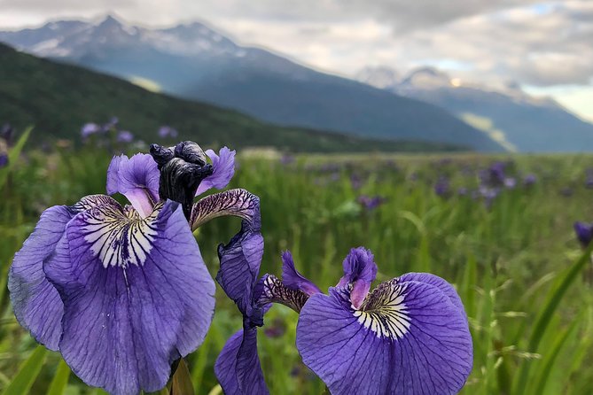 Private luxury shore excursion Skagway, AK to Emerald Lake, Yukon. - Pickup is designed for cruise passengers