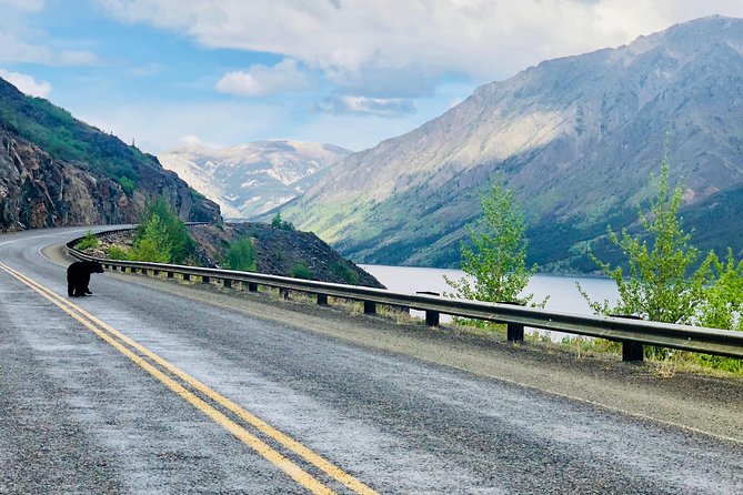 Private luxury shore excursion Skagway, AK to Emerald Lake, Yukon. - Starting in Skagway’s Gold Rush district