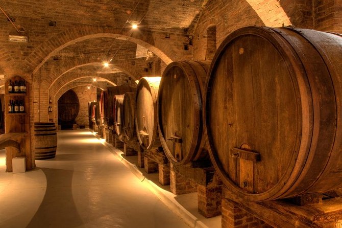 Private Pisa, Pasta and Chianti Lovers Wine Experience Livorno Shore Excursion - What the private Pisa format adds