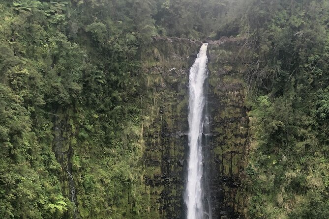 PRIVATE Shore Excursion - 'Best of Hilo and Hamakua coast - Hilo Farmers Market and downtown flavor