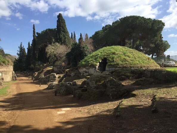 Private Shore Excursion from Civitavecchia Port to Etruscan Countryside - Key points to know before booking