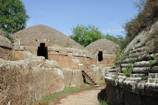 Private Shore Excursion from Civitavecchia Port to Etruscan Countryside - What the $476.93 price really buys