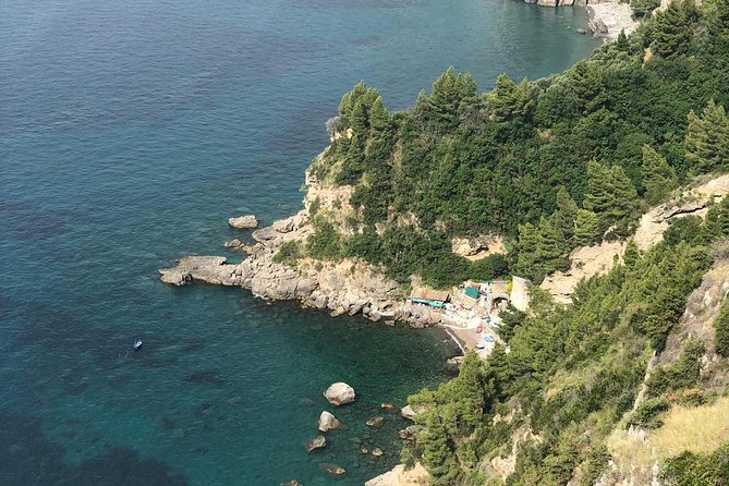 Private Shore Excursion from Naples to Pompeii, Sorrento and Positano - The driver makes or breaks the schedule