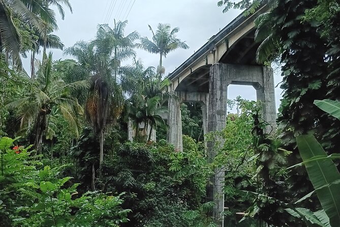 Private Shore Excursion Hilo Land of Frozen Fire up to 14 - Why this private tour works for groups