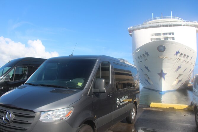 Private Shore Excursion Hilo Volcanoes National Park up to 10 PPL - Why this private Hilo tour works so well