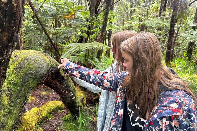 Private Shore Excursion Hilo Volcanoes National Park up to 10 PPL - Rainbow Falls and Liliʻuokalani Gardens