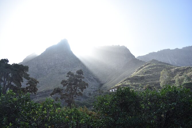 Private Shore Excursion in Gran Canaria - Arucas pairs a botanic garden with a short town walk