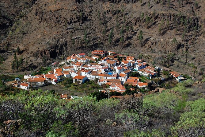 Private shore excursion in Gran Canaria the miniature continent - The island in one day: key points