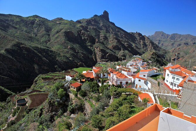 Private shore excursion in Gran Canaria the miniature continent - Degollada de la Yegua and the Fataga Valley