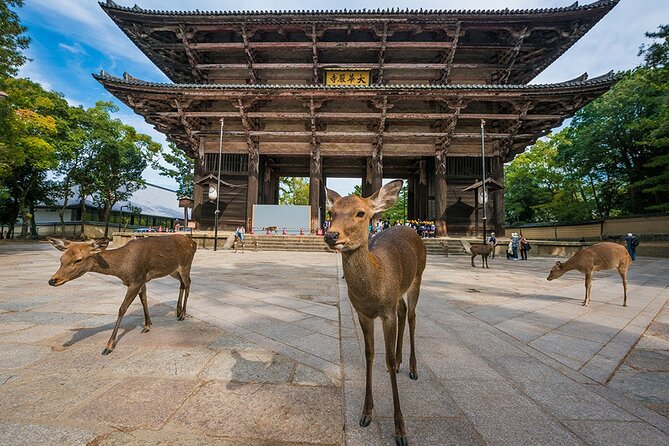 Private Shore Excursion: Osaka&Nara Tour from Osaka/Kobe Port - Price, value, and the cost of convenience