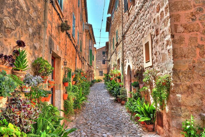 Private Shore Excursion to Valldemossa and Palma de Mallorca - Palma begins at the harbor