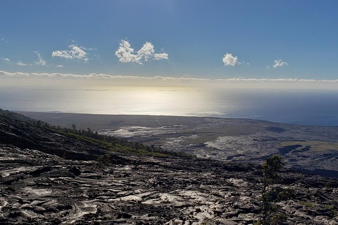 Private Shore Excursion Tour: Hawaii Volcanoes National Park - The essential details at a glance