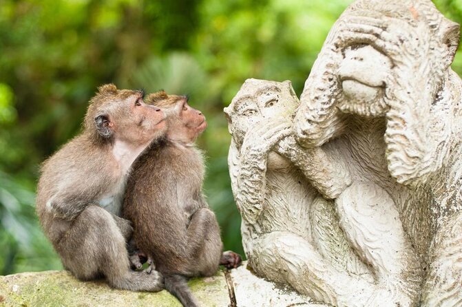 Private Shore Excursion: Ubud Art Villages and Sacred Monkey Forest - Key points at a glance