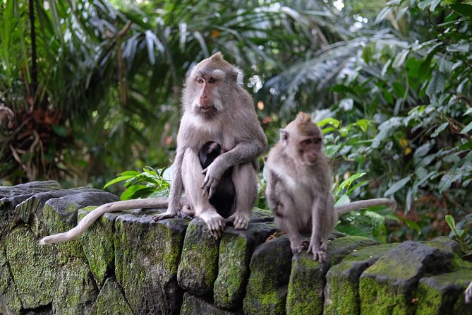 Private Shore Excursion: Ubud Art Villages and Sacred Monkey Forest - Ubud Art Market: compare first, bargain second