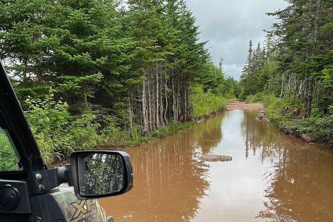 Private Shore Excursion UTV/ATV Side-by-Side Trail Tour - Should you book this tour?