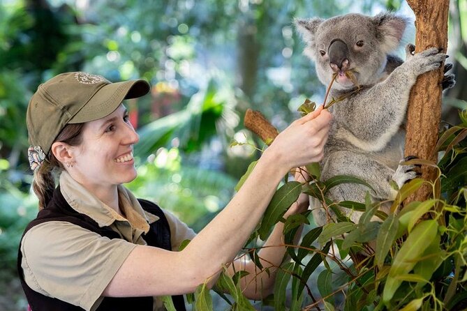 Private Shore Excursions with Lone Pine Koala Sanctuary Visit - Five things to know before you book
