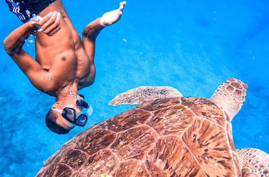 Private Snorkel Experience with Sea Turtle for Cruisers - A short boat ride to a quieter snorkeling site