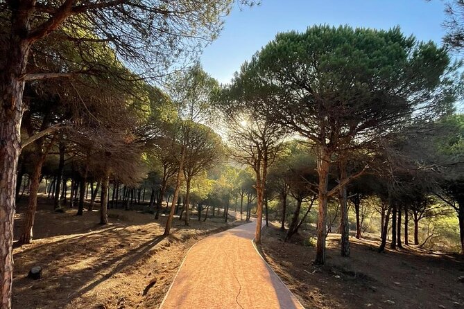 Private Tangier Tour from Ferry or Cruise Ship Including Lunch - A quick look at the city’s green spaces