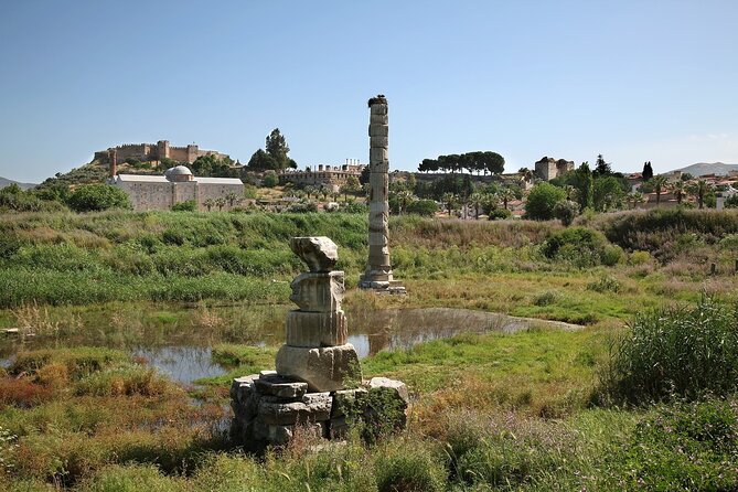 Private Tour: Best of Ephesus for Cruise Passengers. - Private transport and cruise-port timing