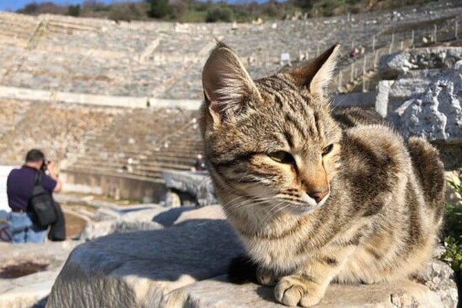 Private Tour : Biblical Ephesus Tour for Cruisers from Kusadasi ( Ephesus ) Port - The guides make or break the day
