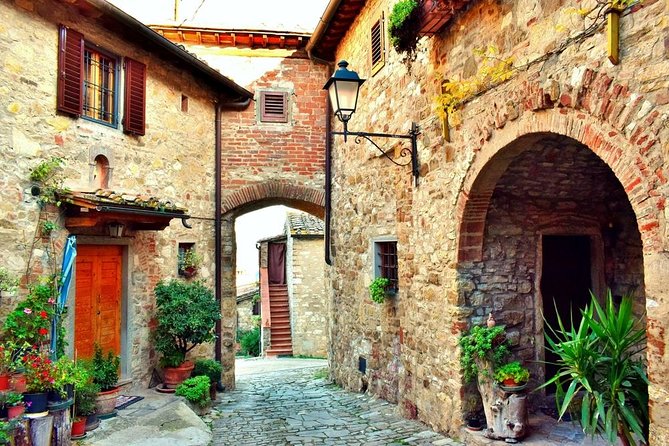 Private tour from Livorno port to Chianti Wine Region - Why this private Livorno excursion works well