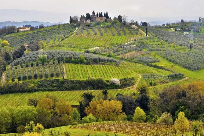 Private tour from Livorno port to Chianti Wine Region - The road to Chianti is part of the experience