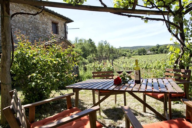 Private tour from Livorno port to Chianti Wine Region - A cruise-friendly schedule, with limits