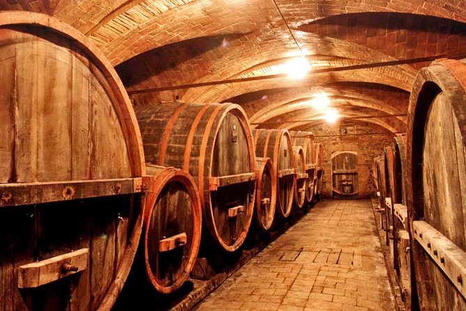 Private tour from Livorno port to Chianti Wine Region - The drivers make the difference