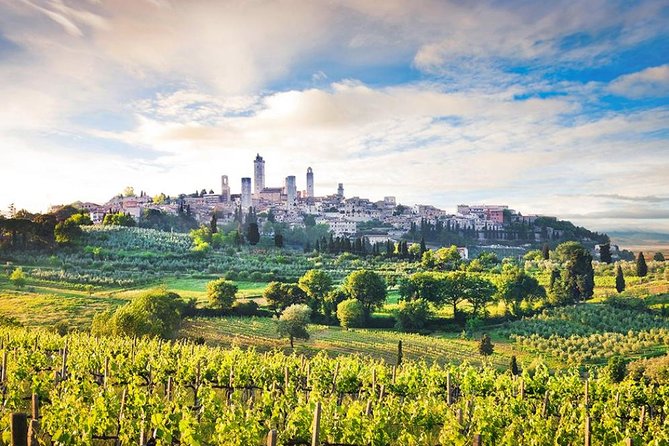 Private tour from Livorno port to San Gimignano & Volterra - Five details that shape the day