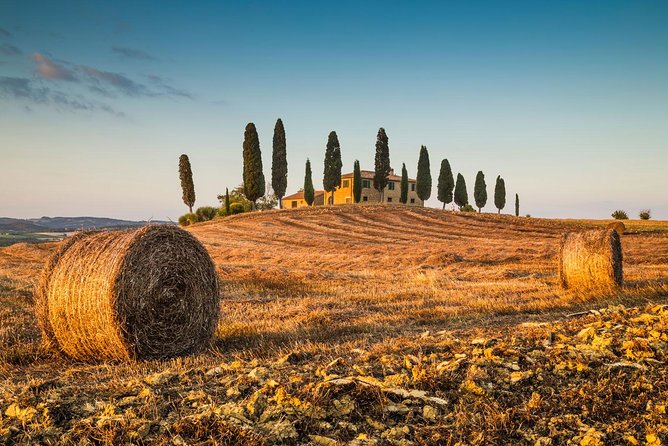 Private tour from Livorno port to San Gimignano & Volterra - Why this Livorno shore trip makes sense