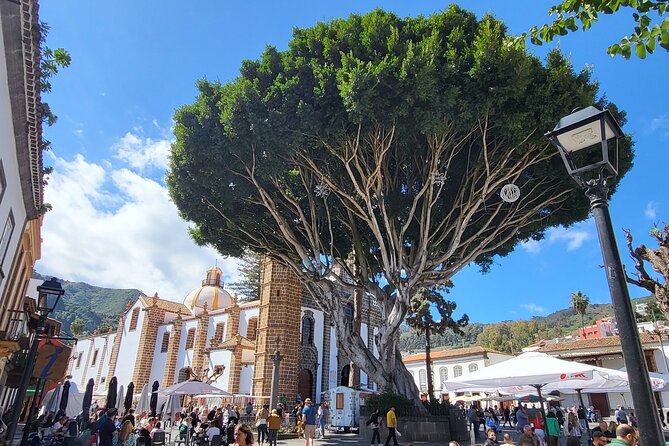 Private Tour from the Port of Las Palmas to Teror Firgas Arucas - Arucas around 2:00 p.m., black stone and garden paths