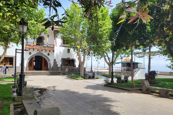 Private Tour from the Port of Las Palmas to Teror Firgas Arucas - What the $232.71 price buys you