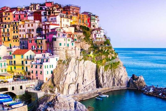 Private VIP Exclusive Tour of Cinque Terre - Shore Excursion from Livorno/Spezia - The guide question is the key value test