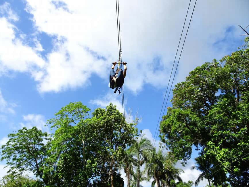 Puerto Plata ATV N Zip Adventure | Shore Excursion & Hotel - The tropical garden and parrots