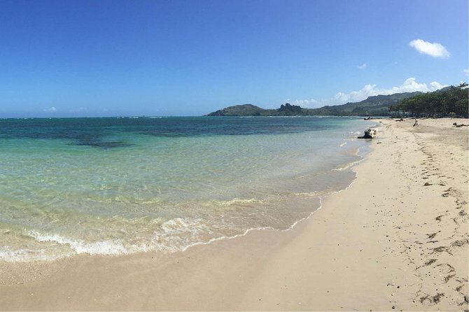 Puerto Plata Shore Excursion: ATV adventure for Amber Cove & Taino Bay Passenger - Key Things to Know Before You Book