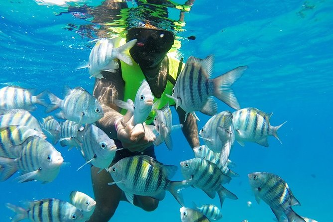 Puerto Plata Shore Excursion, Snorkeling tour & Sosua Beach Day - Why this Puerto Plata excursion works well