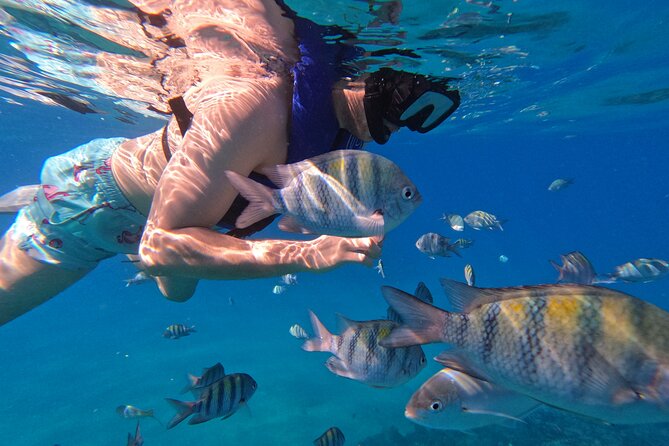 Puerto Plata Shore Excursion, Snorkeling tour & Sosua Beach Day - Two snorkeling stops in Sosua Bay