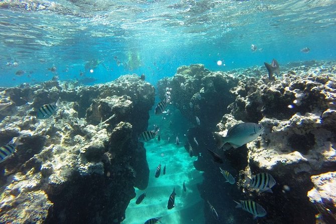 Puerto Plata Shore Excursion, Snorkeling tour & Sosua Beach Day - The small speedboat: useful facts before boarding