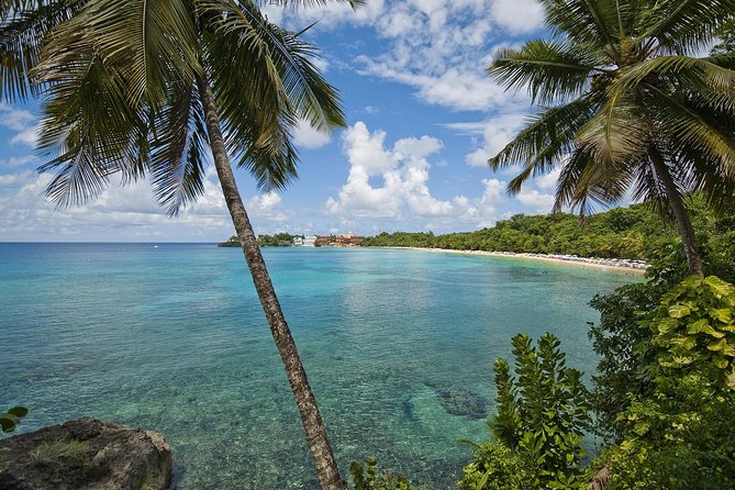 Puerto Plata Shore Excursion, Snorkeling tour & Sosua Beach Day - The staff make the difference