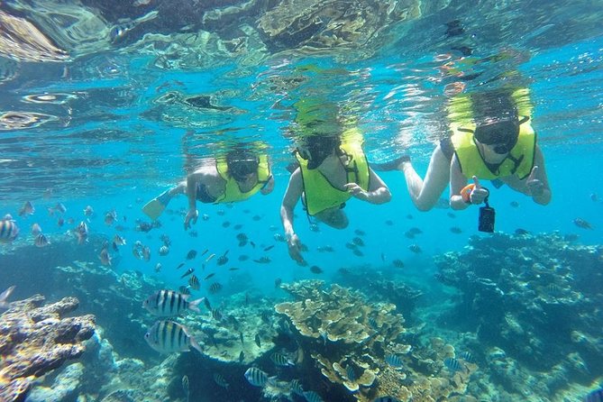 Puerto Plata Shore Excursion, Snorkeling tour & Sosua Beach Day - Is $65.55 a fair price?