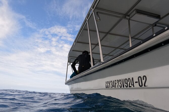 Puerto Plata Shore Excursion, Snorkeling tour & Sosua Beach Day - The ride from Amber Cove or Taino Bay