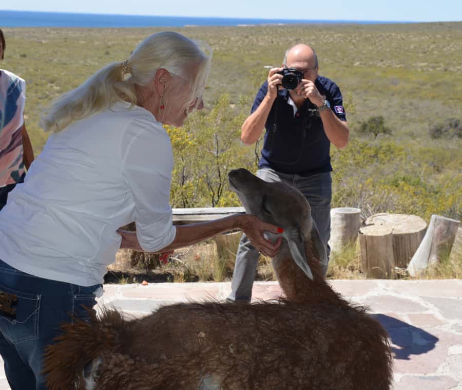Punta Loma + Ranch Shore Excursion for cruise passengers - Key points to know before booking